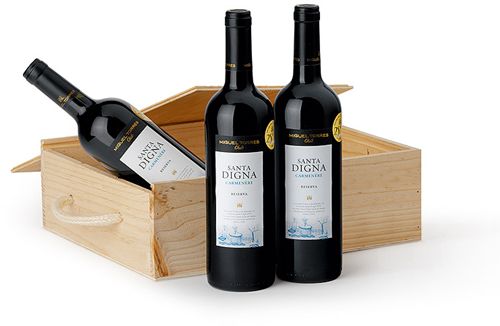 Torres Lote de Navidad Santa Digna Carmenère 2004 3 Botellas en Caja de Madera