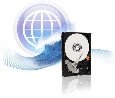 Disco duro interno Western Digital WD Caviar Blue - 250 GB - PATA 100 MB/s - Buffer 8 MB - 7200 rpm - 3.5" - Desktop - 2 años de garantía (WD2500AAJB)