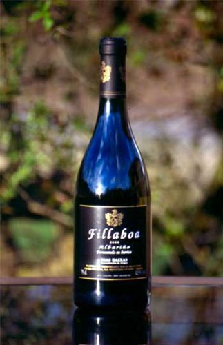 Albariño Fillaboa joven Barrica, caja de 6 botellas.