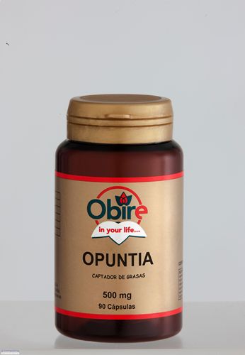 opuntia nopal