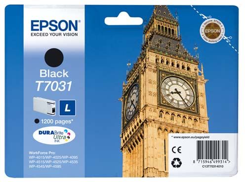 Cartucho de tinta Epson T7031 Negra - C13T70314010 - formato L