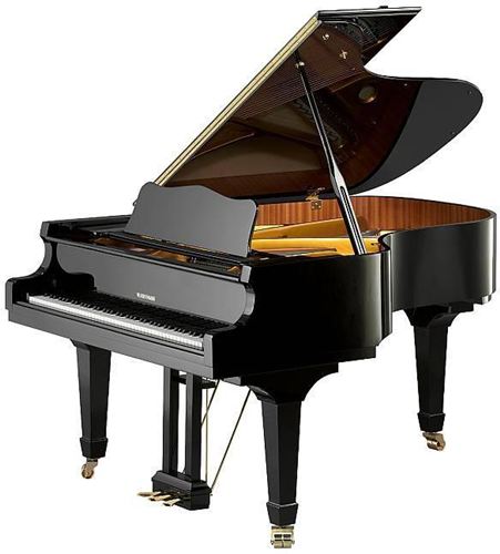 PIANO DE COLA W.HOFFMANN V-183 negro poliester