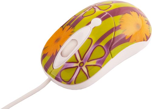 Crazy Mouse - CM11UF (Mi Jardín) - NUEVA COLECCIÓN