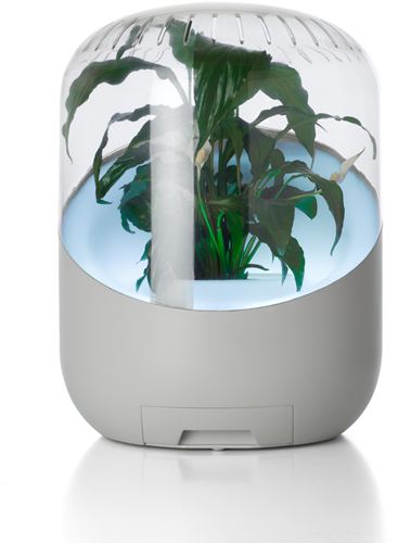 Purificador de aire ANDREA Naturally Purified Air White. La forma más natural de mantener limpio el aire de nuestras casas y oficinas.