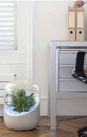 Purificador de aire ANDREA Naturally Purified Air White. La forma más natural de mantener limpio el aire de nuestras casas y oficinas.