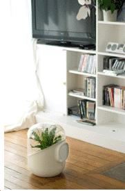 Purificador de aire ANDREA Naturally Purified Air White. La forma más natural de mantener limpio el aire de nuestras casas y oficinas.