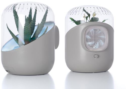 Purificador de aire ANDREA Naturally Purified Air White. La forma más natural de mantener limpio el aire de nuestras casas y oficinas.