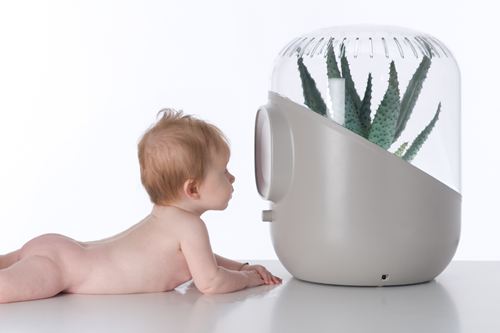 Purificador de aire ANDREA Naturally Purified Air White. La forma más natural de mantener limpio el aire de nuestras casas y oficinas.